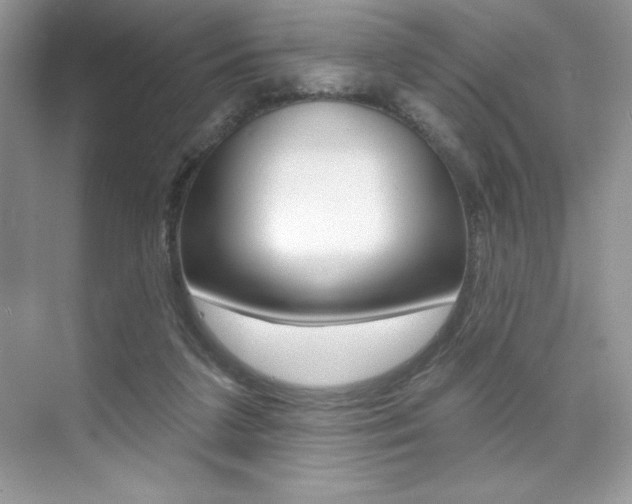 X0000073830211200608101010