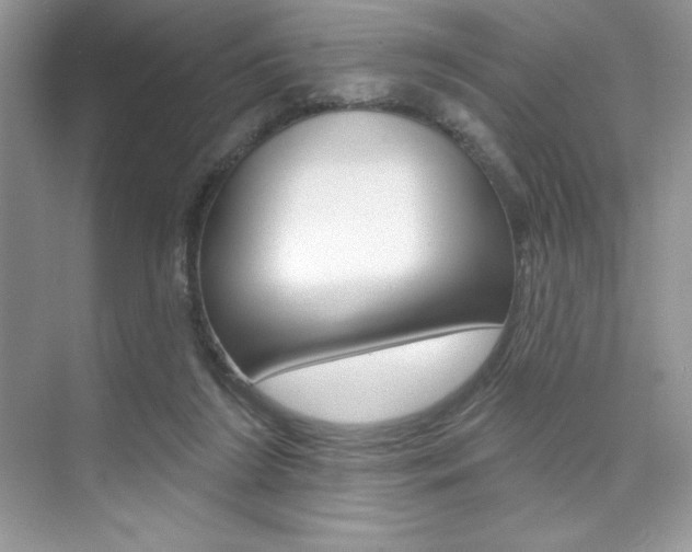 X0000073830212200608101010