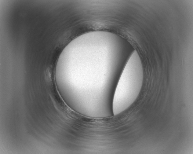 X0000073830214200608101010