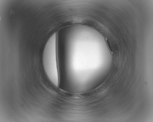 X0000073830215200608101010