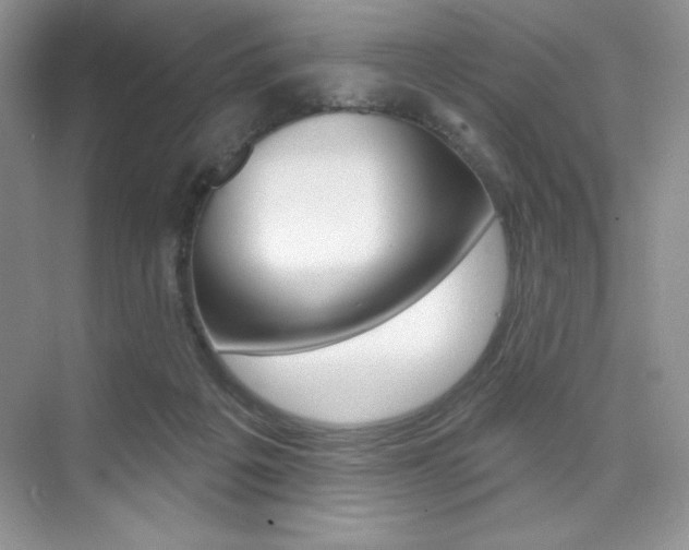 X0000073830217200608101010