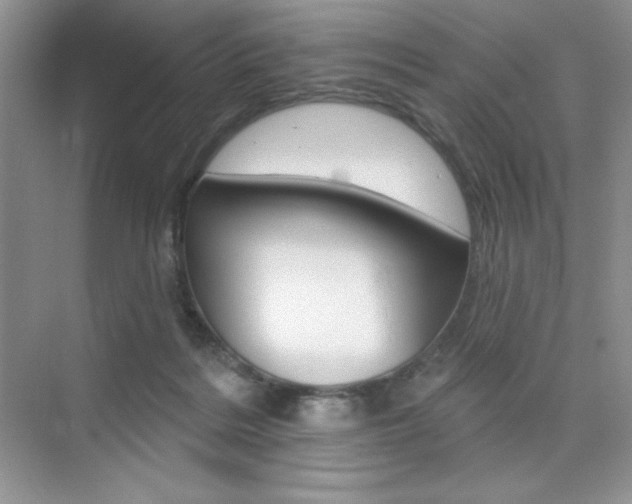 X0000073830220200608101010