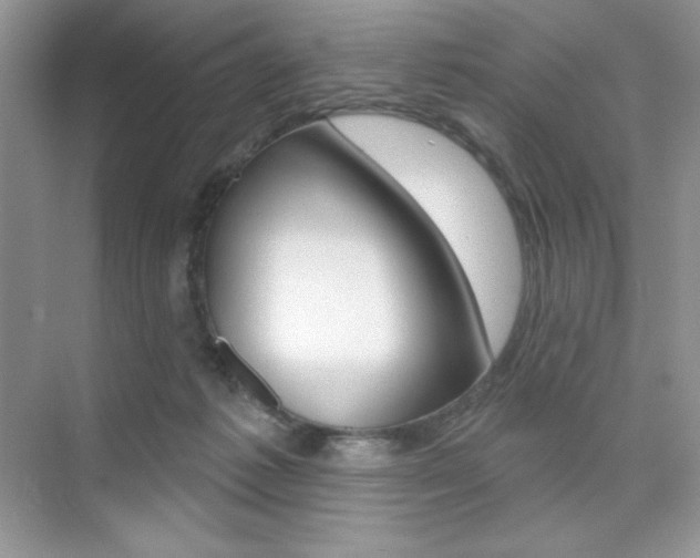 X0000073830221200608101010