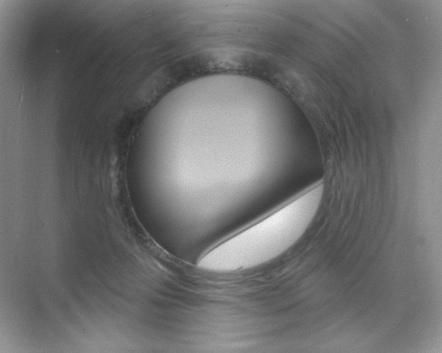 X0000073830223200608101010