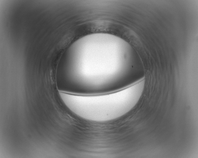 X0000073830224200608101010