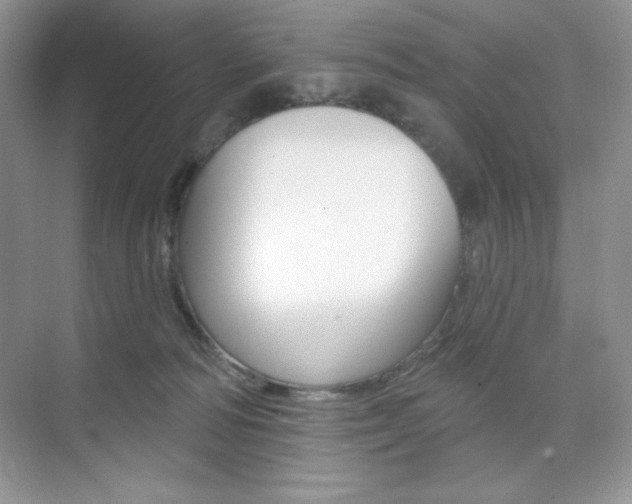 X0000073830226200608101010