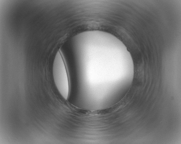 X0000073830228200608101009