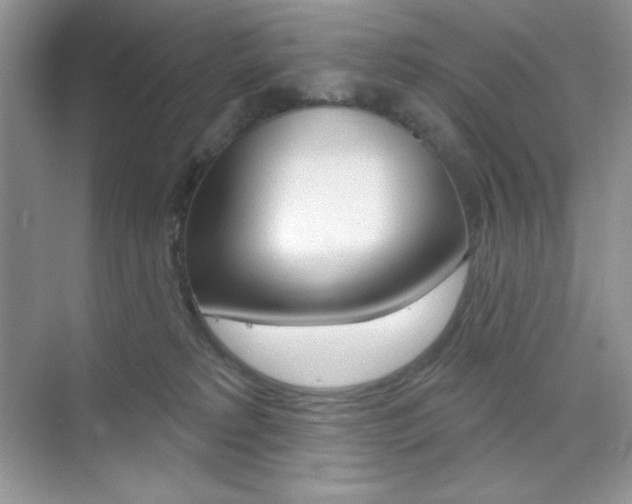 X0000073830229200608101009