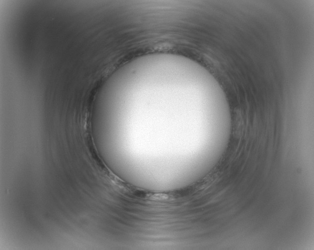 X0000073830230200608101009