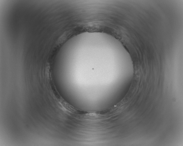 X0000073830231200608101009