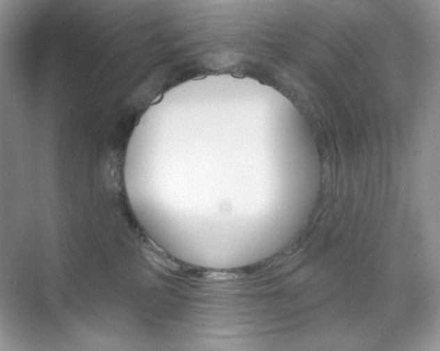 X0000073830234200608101009