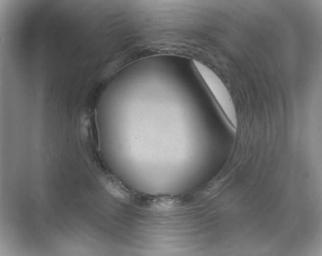 X0000073830235200608101009