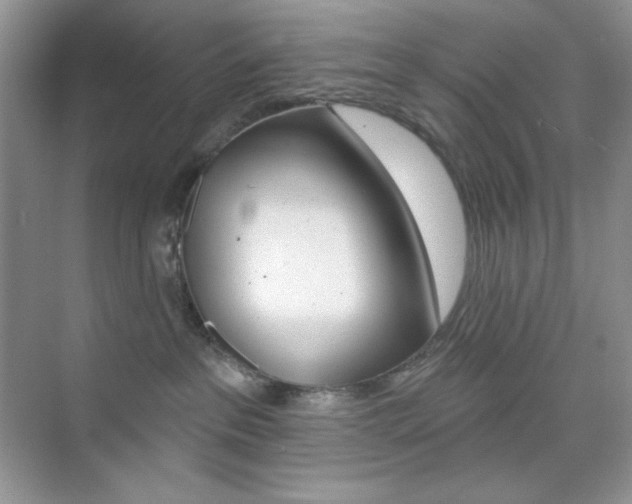 X0000073830237200608101009