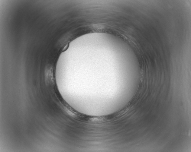 X0000073830238200608101009