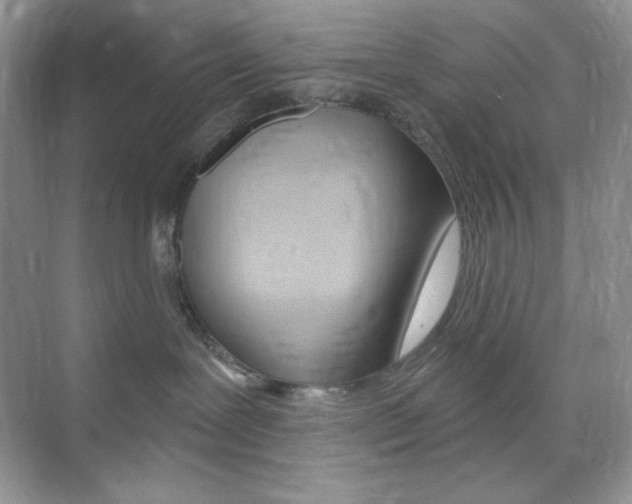 X0000073830239200608101009