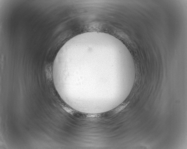 X0000073830240200608101009