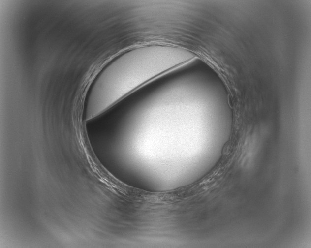 X0000073830241200608101008