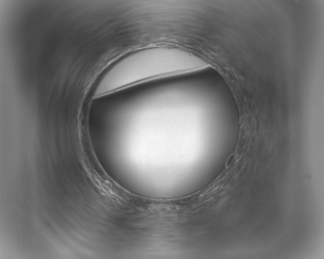 X0000073830242200608101008