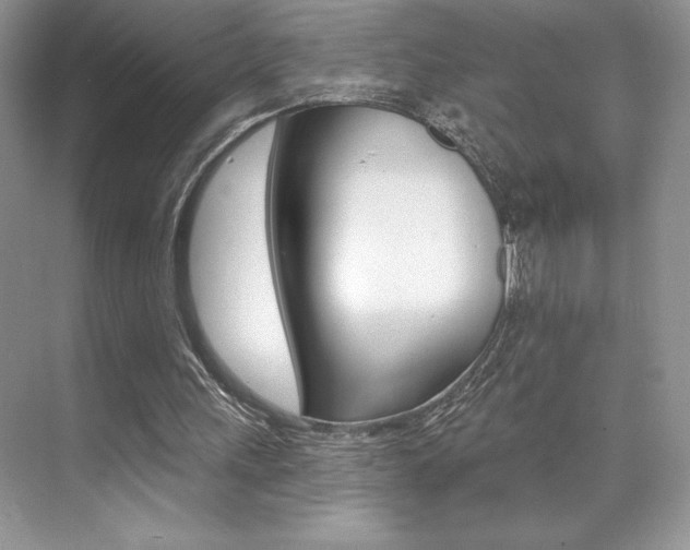 X0000073830243200608101008