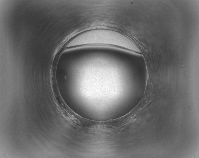 X0000073830244200608101009