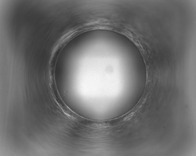 X0000073830245200608101009