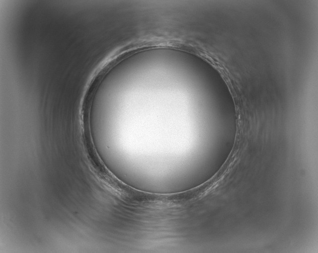 X0000073830246200608101009