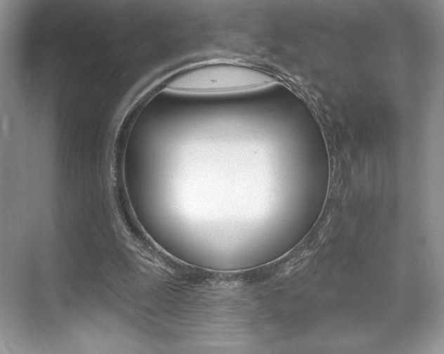 X0000073830247200608101009