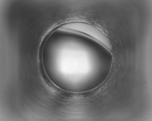 X0000073830248200608101009