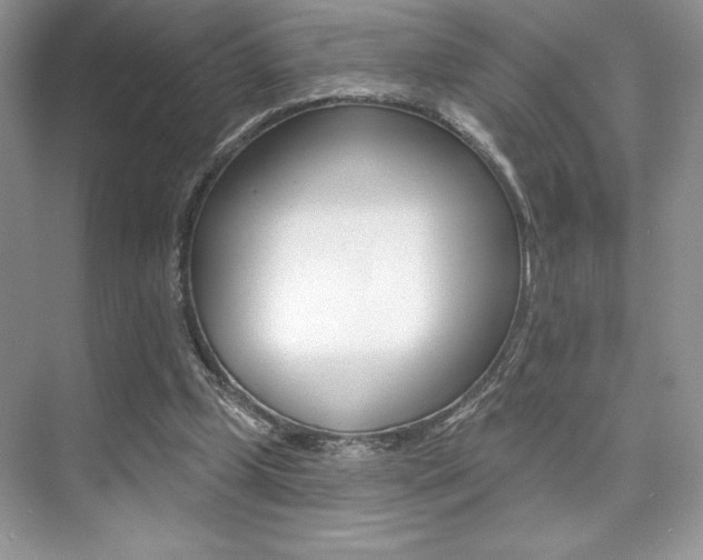 X0000073830249200608101009