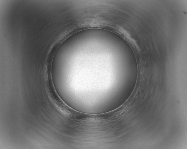 X0000073830250200608101009