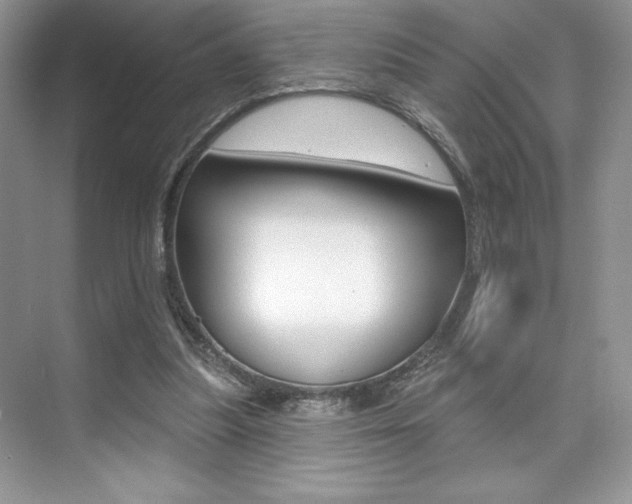 X0000073830251200608101009