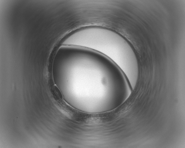 X0000073830252200608101009