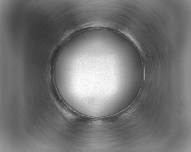 X0000073830253200608101009