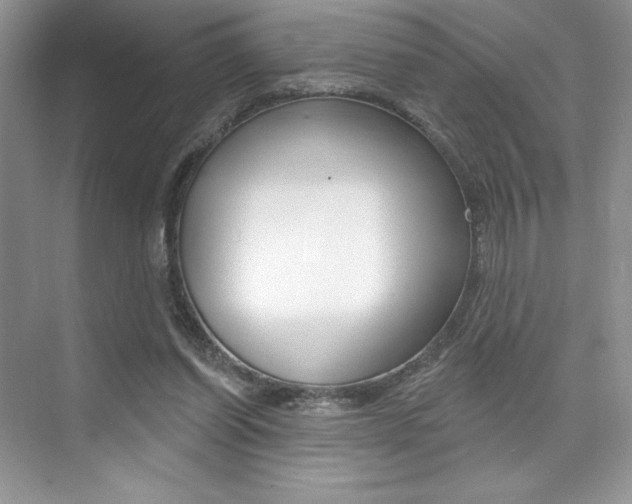 X0000073830254200608101009