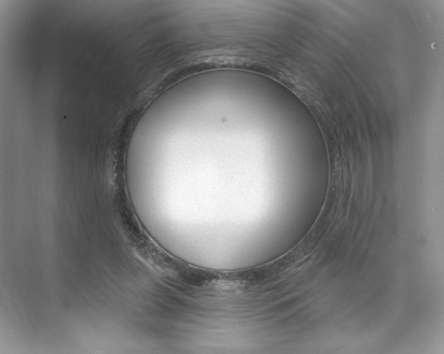 X0000073830255200608101009