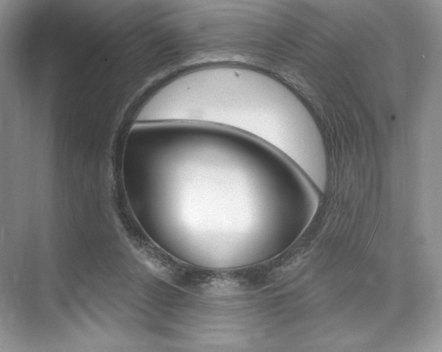 X0000073830256200608101009