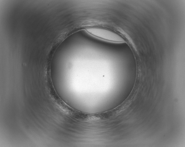 X0000073830257200608101009