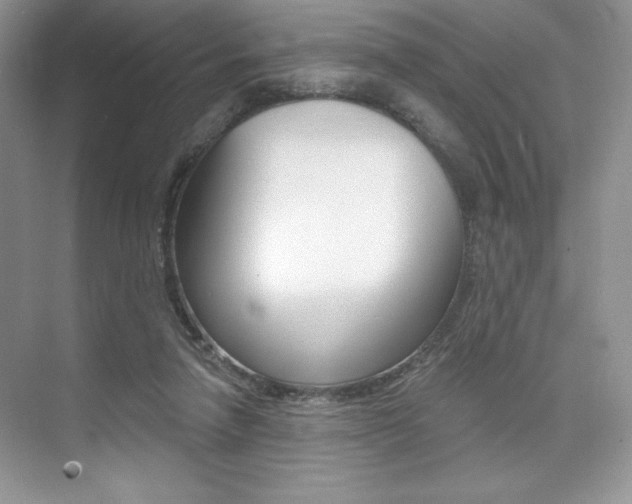 X0000073830258200608101009