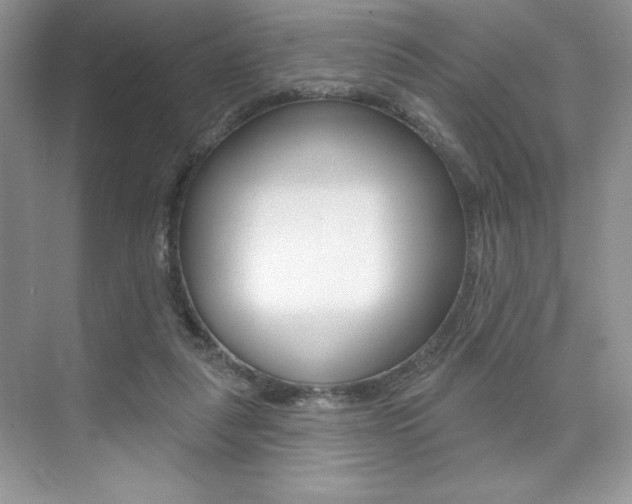 X0000073830259200608101009