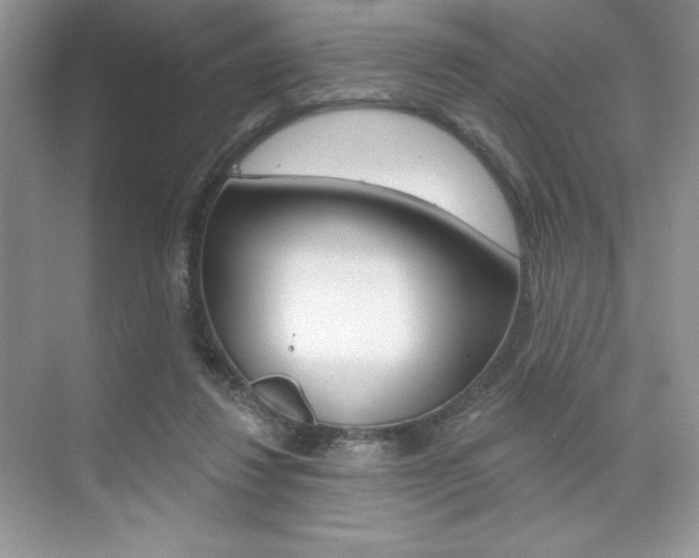 X0000073830260200608101009