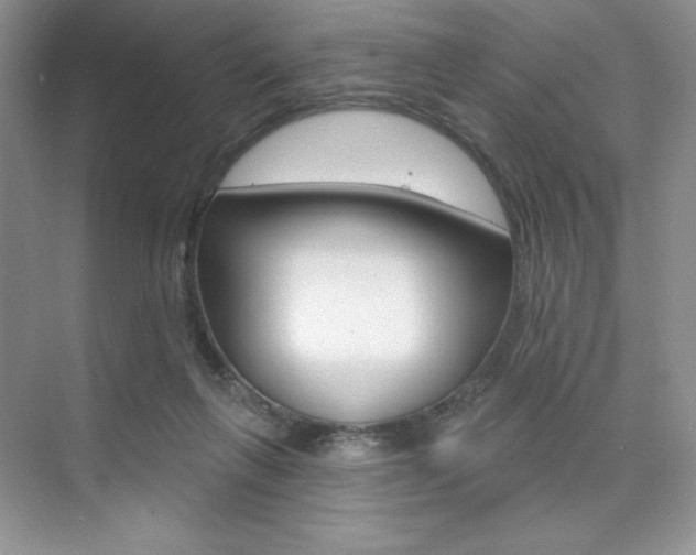 X0000073830263200608101009