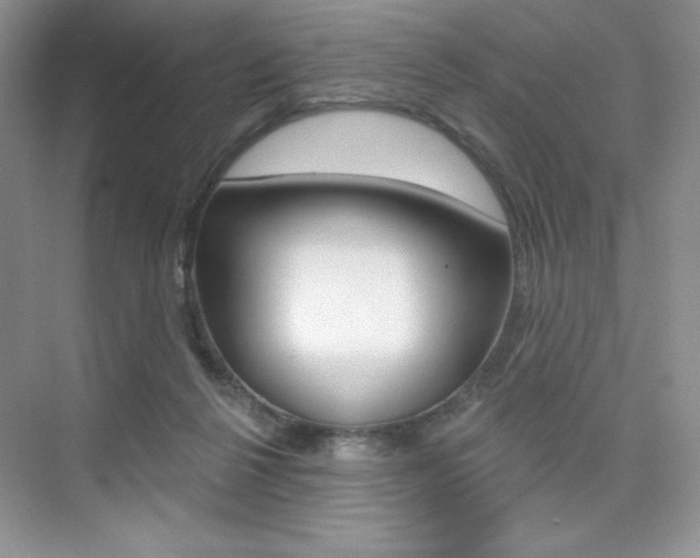 X0000073830264200608101009