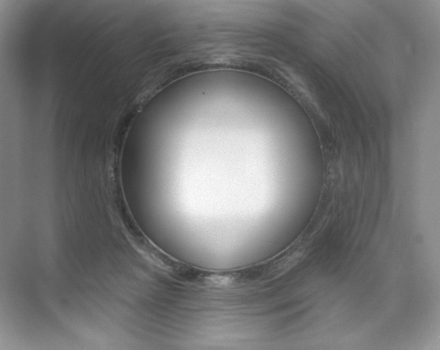 X0000073830265200608101009