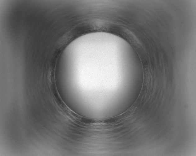 X0000073830266200608101009