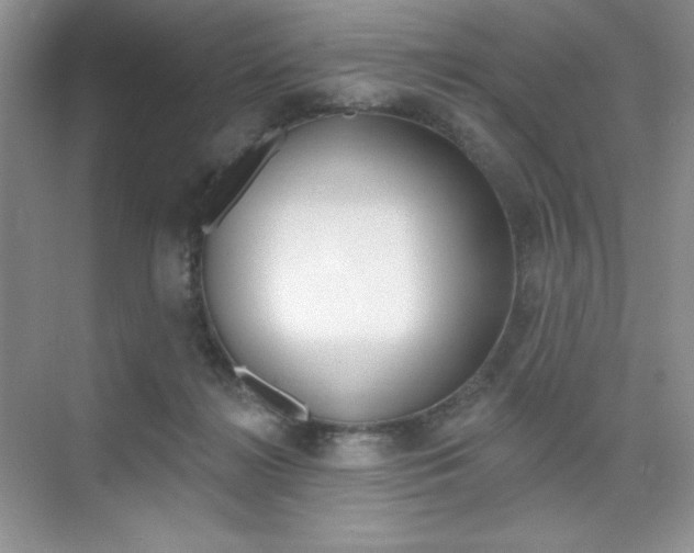 X0000073830268200608101009