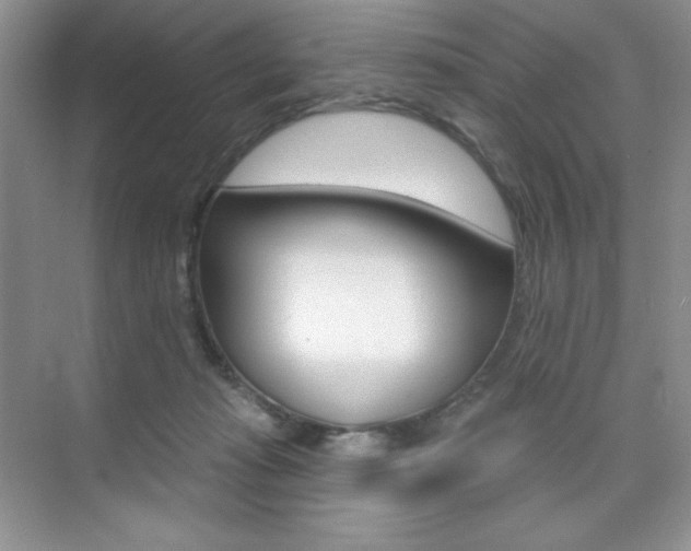 X0000073830269200608101009