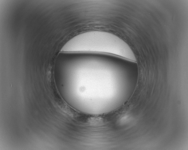 X0000073830271200608101009