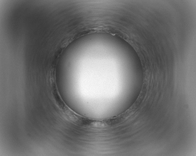 X0000073830272200608101009