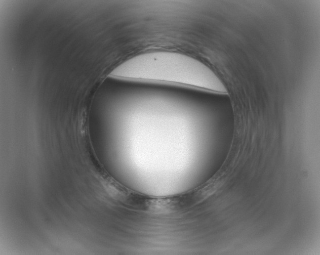 X0000073830273200608101009