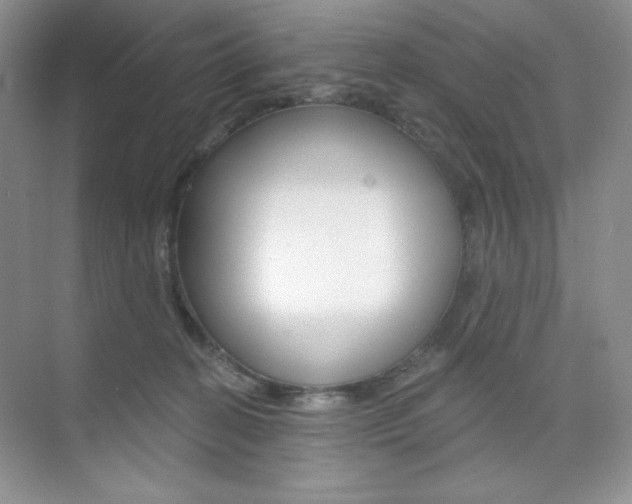 X0000073830274200608101009